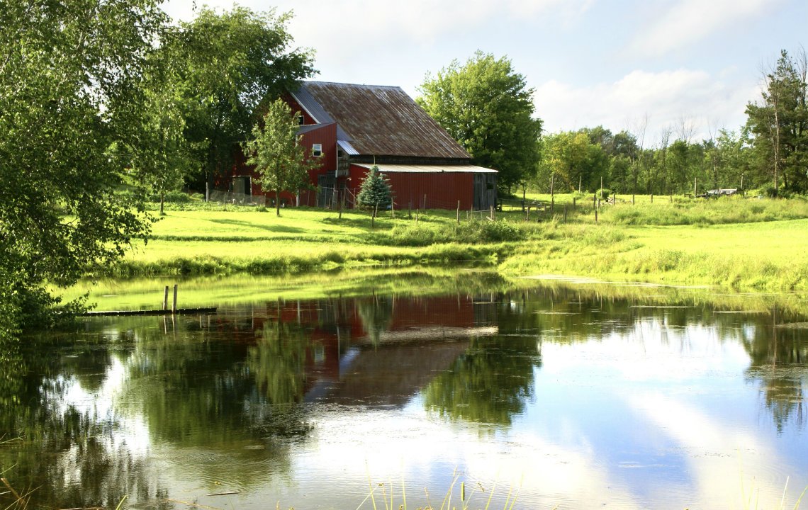 We Just Bought Property With A Pond On It.  Now What?