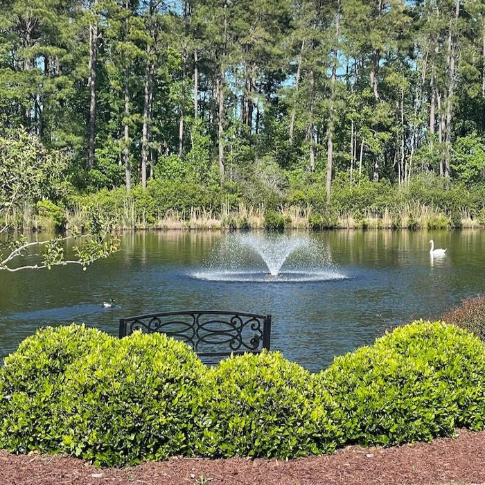 Top Ten Reasons to Install a Fountain in Your Pond
