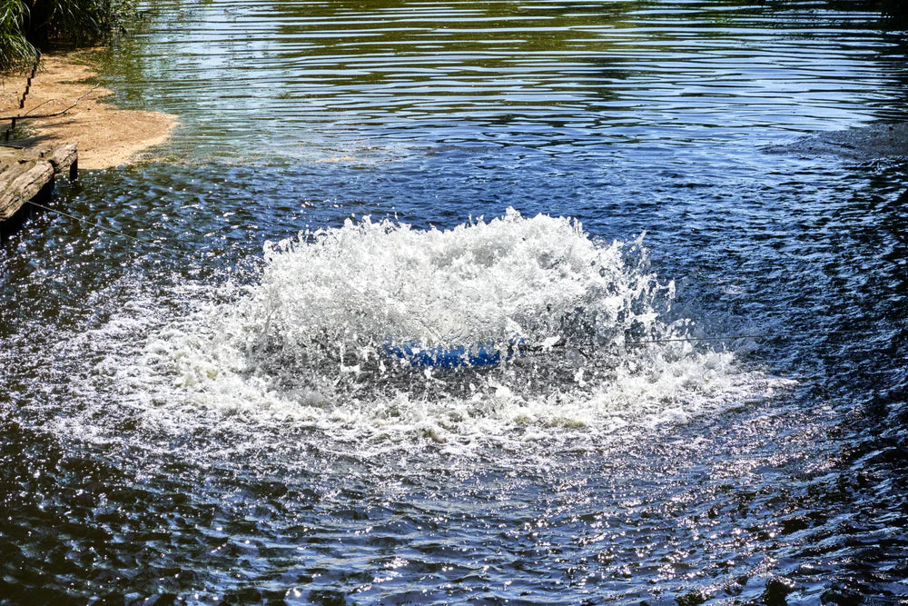 Can You Over-Aerate a Pond? Exploring Aeration Techniques and Considerations