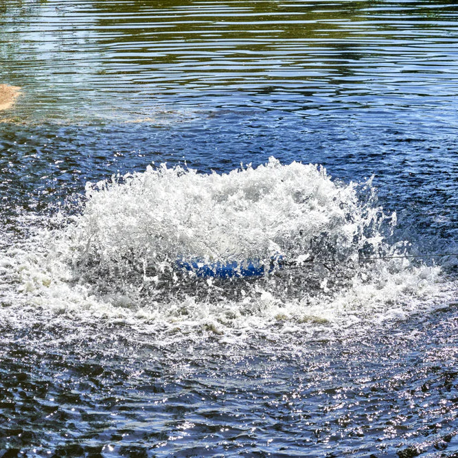Can You Over-Aerate a Pond? Exploring Aeration Techniques and Considerations