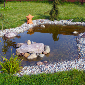 How to Keep Pond Water Clear: 12 Unmissable Tips for Pond Owners