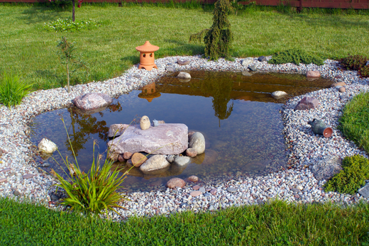 How to Keep Pond Water Clear: 12 Unmissable Tips for Pond Owners