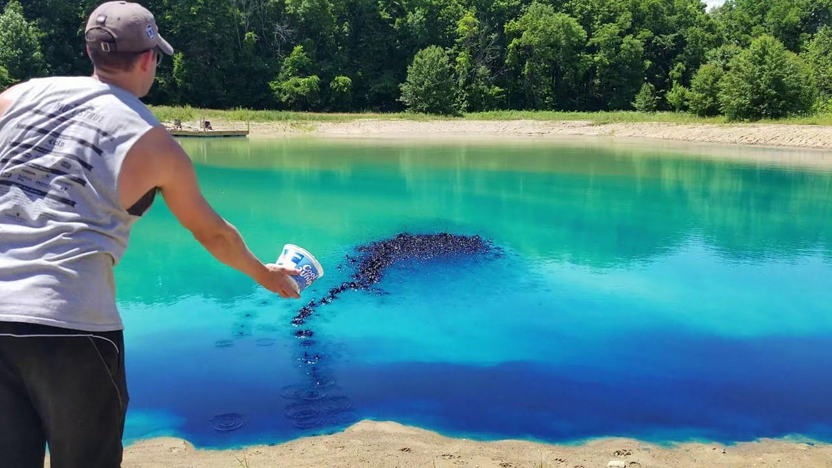 The Essential Guide to Pond Dye: Beautify and Protect Your Water ...