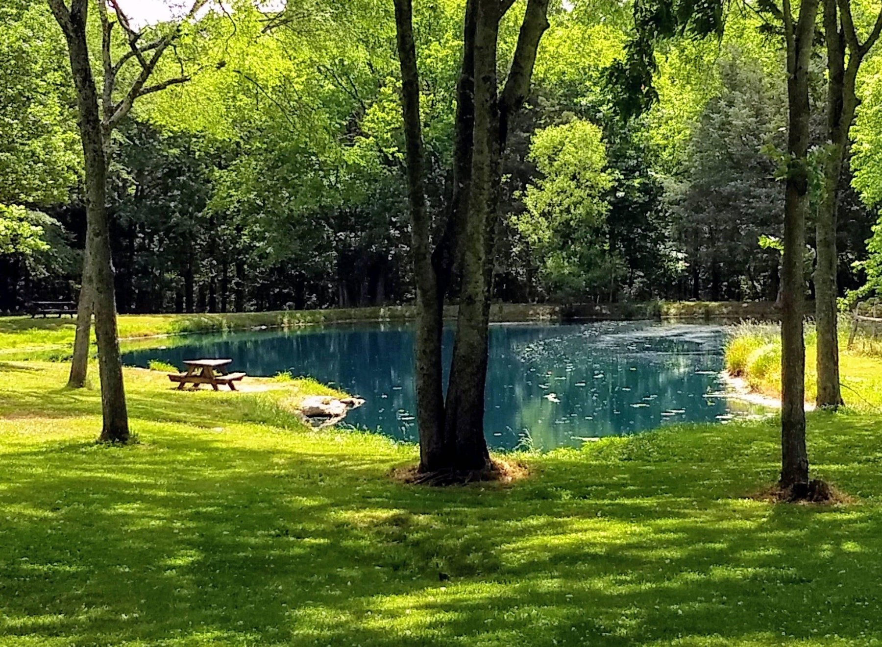 Top Pond Aerator 1/4 Acre Solutions for Optimal Water Clarity and Health