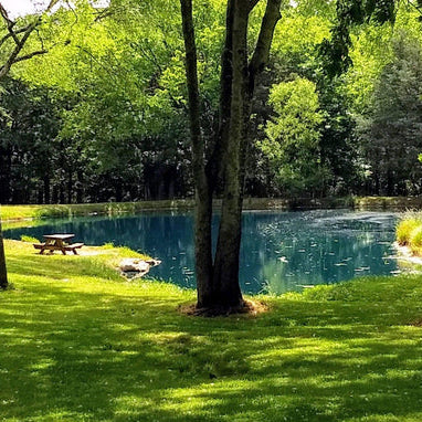 Top Pond Aerator 1/4 Acre Solutions for Optimal Water Clarity and Health