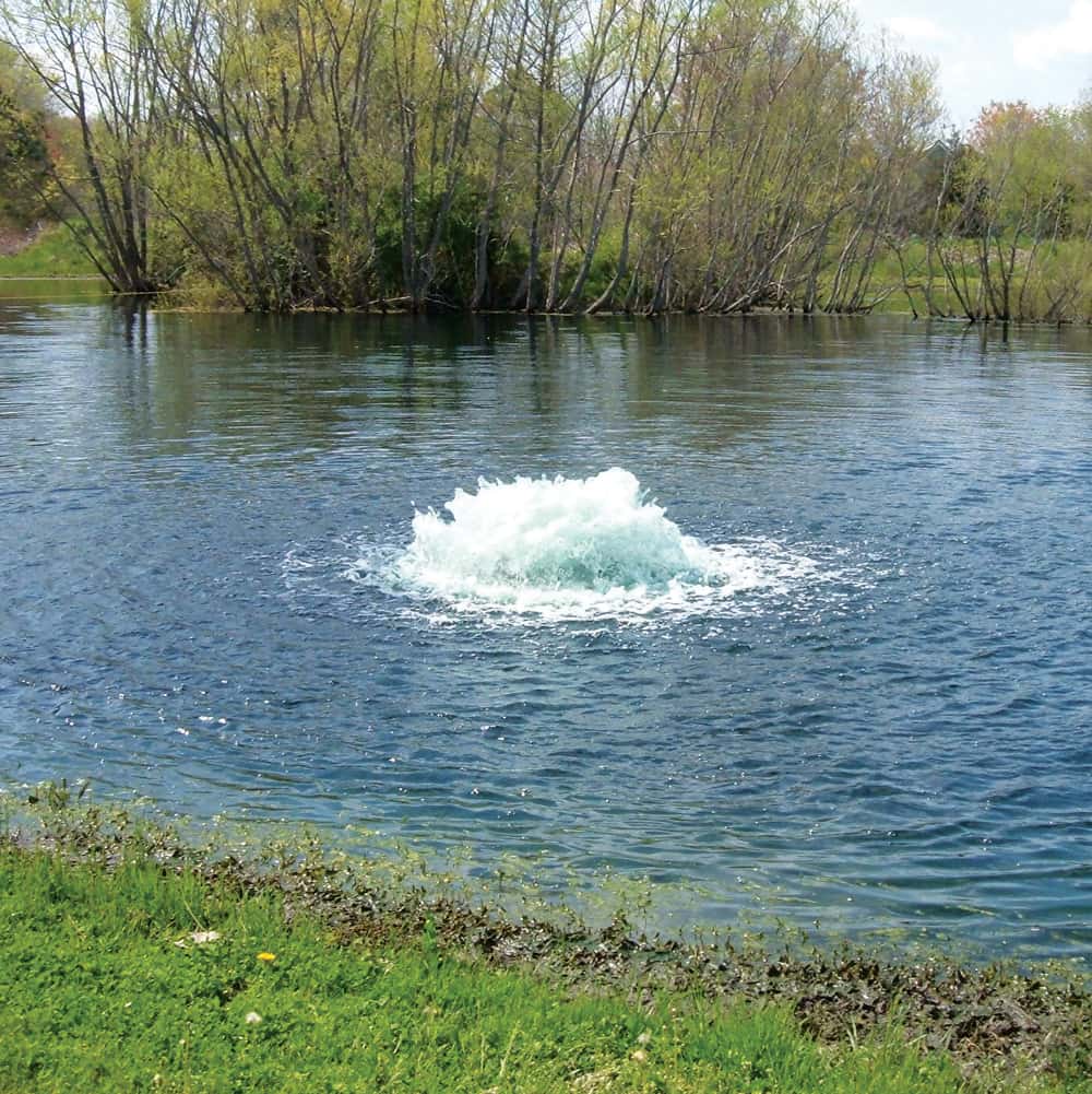 The Importance of Aeration: How Much Aeration Does a Pond Need?