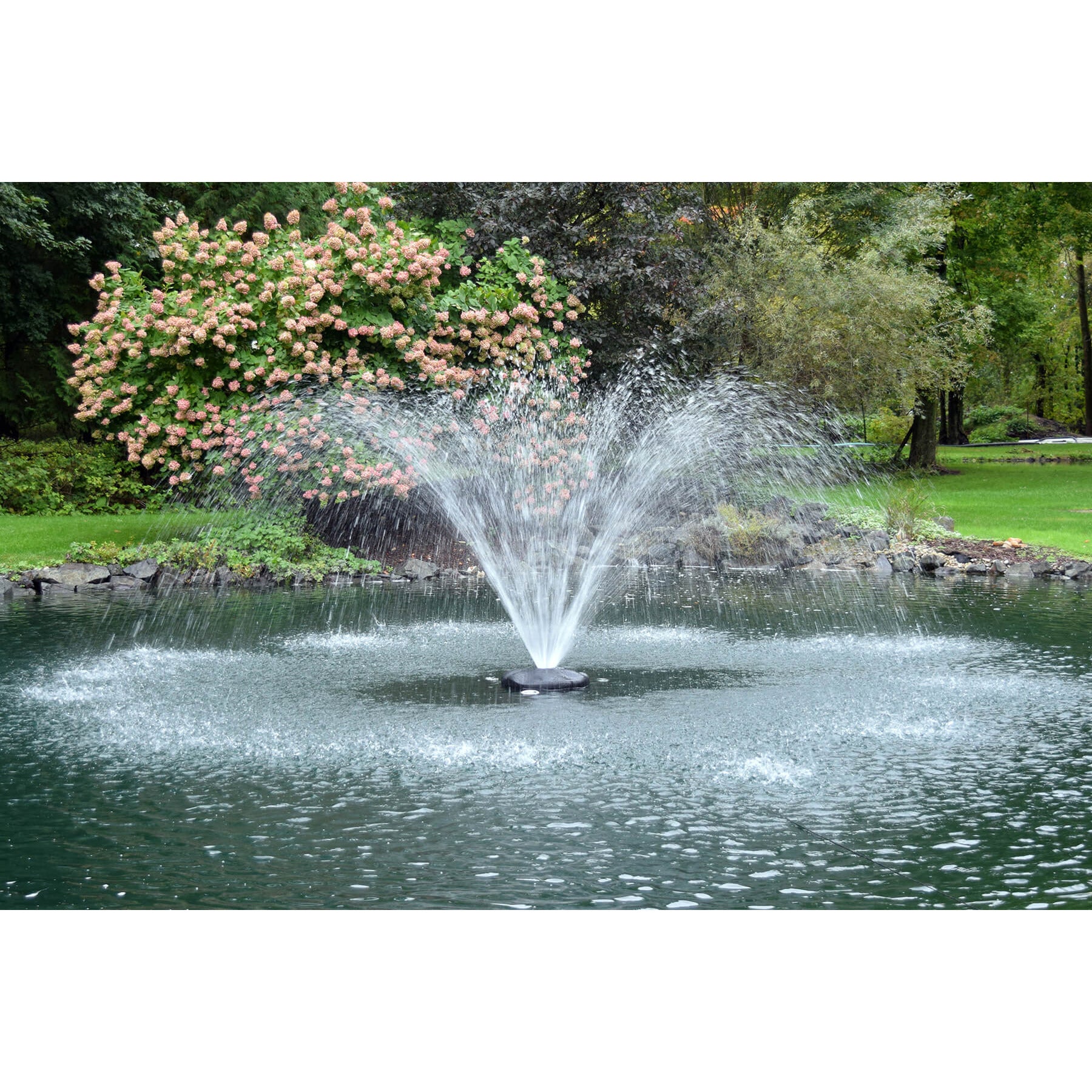 Your Pond Pros | Image of the EasyPro Aqua Fountain in use in pond with wide umbrella nozzle 