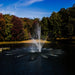 Aerial view of fountain in pond using the Bearon Aquatics Artemis Nozzle | Your Pond Pros 