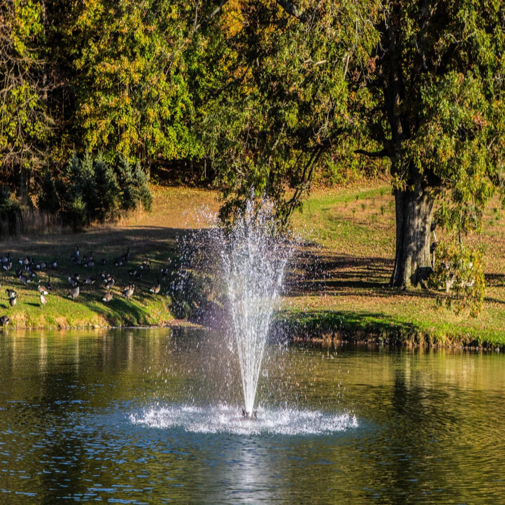 Fountain in a pond using the Bearon Aquatics Eros Nozzle | Your Pond Pros