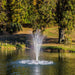 Fountain in a pond using the Bearon Aquatics Eros Nozzle | Your Pond Pros