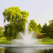 Kasco J Series 3 HP Floating Fountain 3.1JF with Balsam Pattern spraying in pond | Your Pond Pros