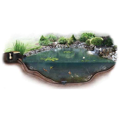 Koi Pond Cutaway View | Your Pond Pros