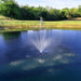 PondSelect Stainless Steel 1/2 HP Pond Fountain Fountain PondSelect