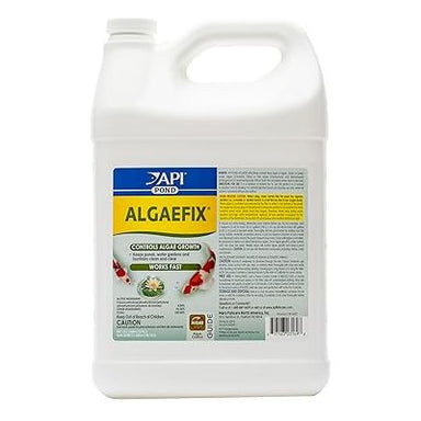 API AlgaeFix Algaecide API